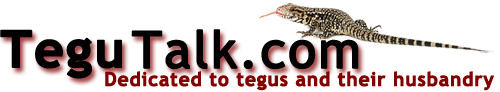 Tegu Talk